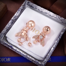 Christian Dior Earrings